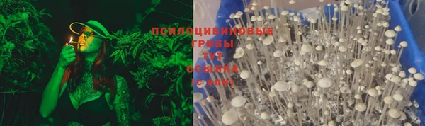 скорость Козловка