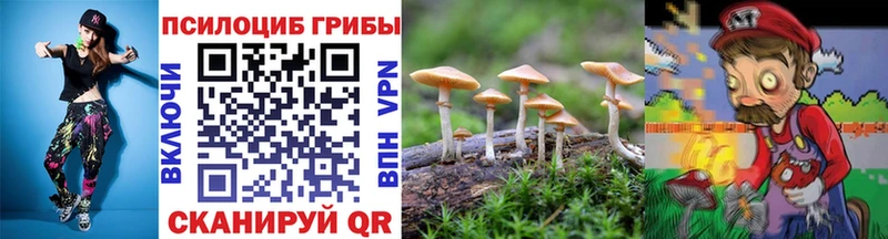 Купить  Магадан  Галлюциногенные грибы мухоморы 